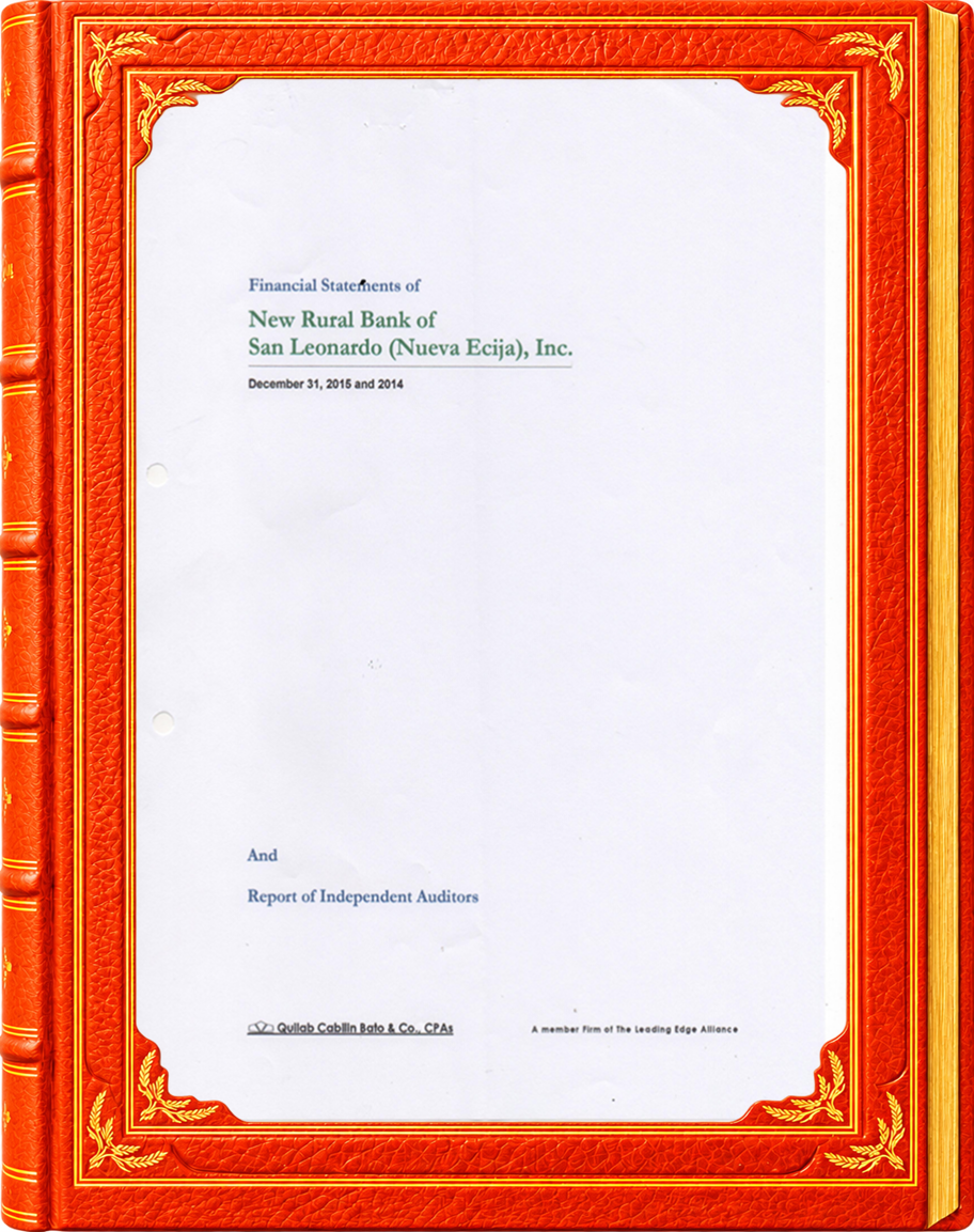 Annual Report Image