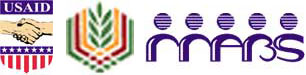 Previous Awards Image