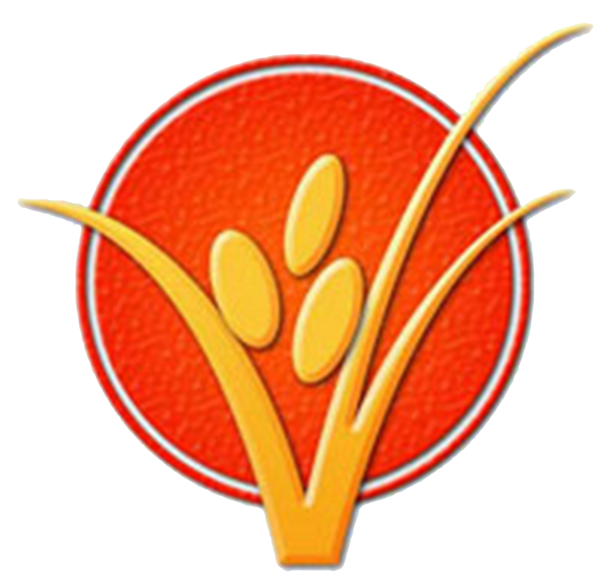 NRBSL Logo